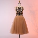 A-Line Round Neck Short Champagne Homecoming Dress with Appliques