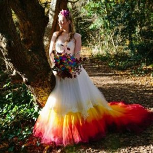 A-Line Court Train Dip Dye Phenix Tulle Wedding Dress with Appliques