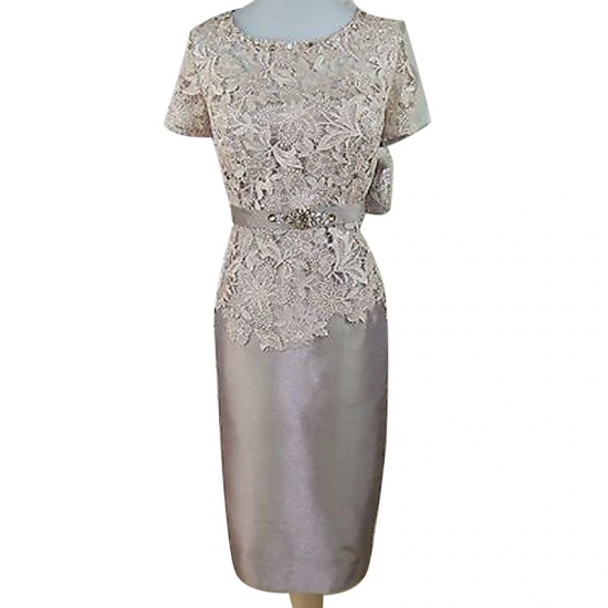 Bodycon Bateau Short Sleeves Silver Mother of The Bride Dress with Lace Beading - Click Image to Close