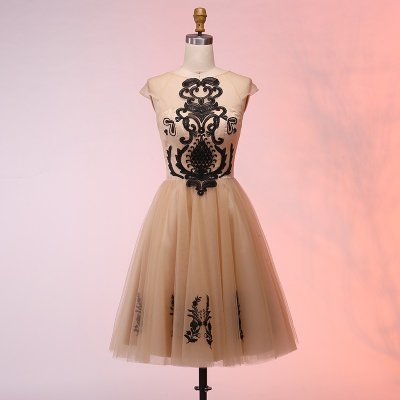A-Line Round Neck Cap Sleeves Short Champagne Prom Dress with Appliques