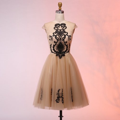 A-Line Round Neck Cap Sleeves Short Champagne Prom Dress with Appliques