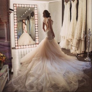 Sheath Wedding Dress with Watteau Train Backless