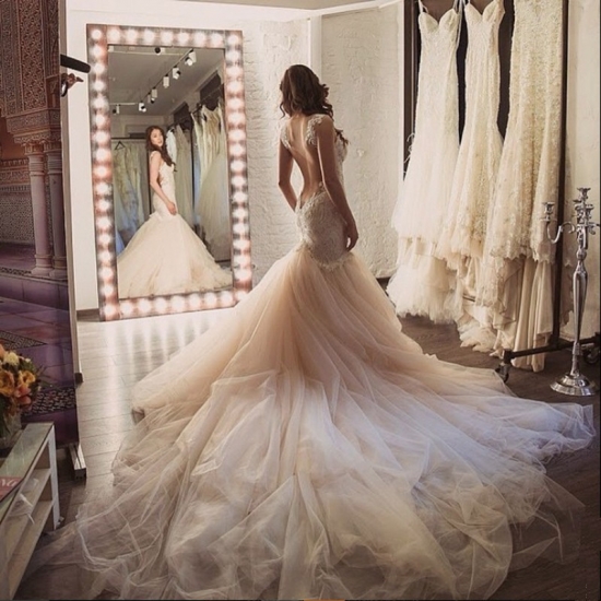 Sheath Wedding Dress with Watteau Train Backless - Click Image to Close