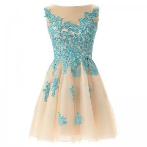 Hot-selling Bateau Sleeveless Short Champagne Homecoming Dresses with Blue Appliques