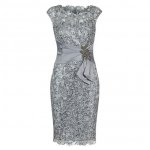 Bodycon Bateau Cap Sleeves Light Grey Lace Mother of The Bride Dress with Appliques