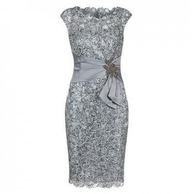 Bodycon Bateau Cap Sleeves Light Grey Lace Mother of The Bride Dress with Appliques