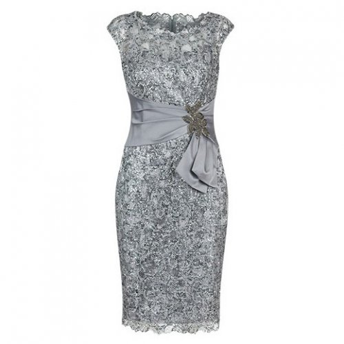 Bodycon Bateau Cap Sleeves Light Grey Lace Mother of The Bride Dress with Appliques