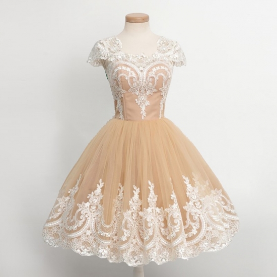 Ball Gown Cap Sleeves Champagne Homecoming Dresses with Appliques - Click Image to Close
